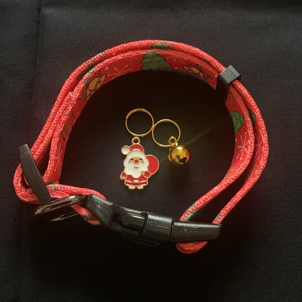 Christmas Pet Collar + Charms